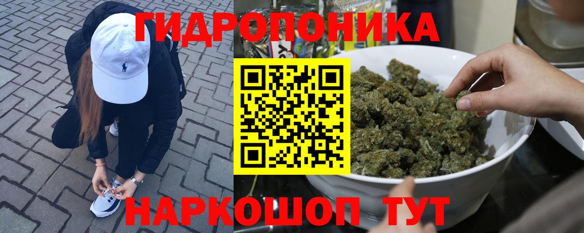 Каннабис конопля Грязи